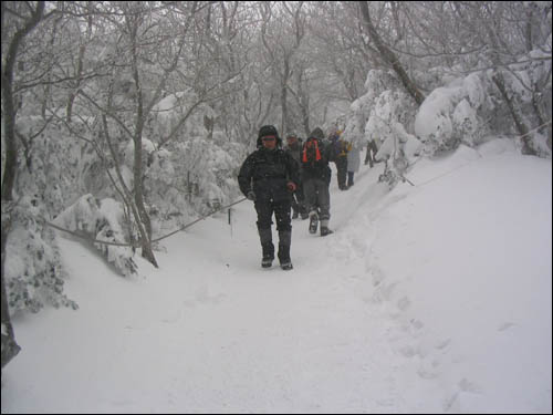 산에서는 산을 볼 수가 없다. 